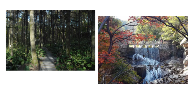 1509008614605941.png blob.png