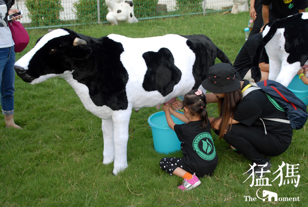 1509681541108538.jpg 20171031230658_971.jpg