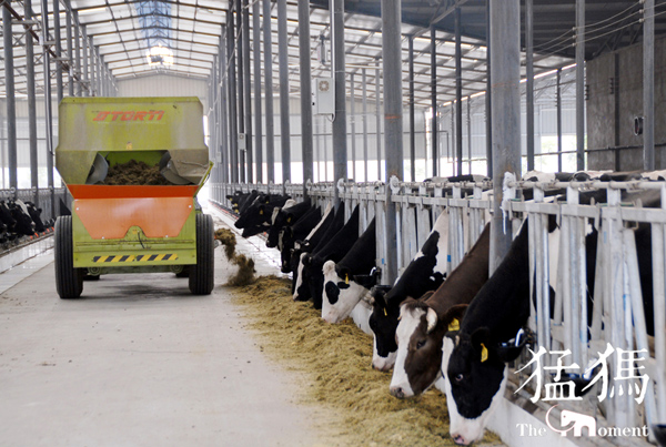 1509681594127669.jpg 20171031230604_468.jpg