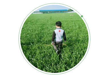 1536637017626948.png blob.png