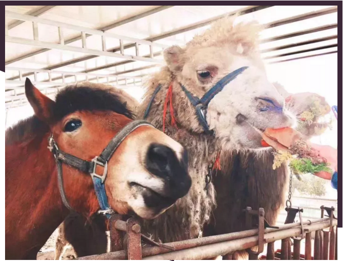 1536637563311605.png blob.png